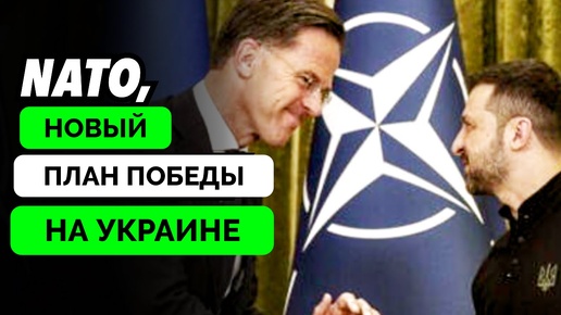 Украинские Чиновники Обсуждают Сдачу Территорий России в Обмен На Вступление в НАТО - Эксперты The Duran | 07.10.2024