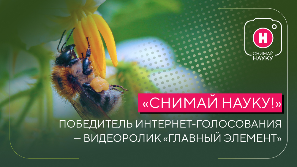    Фото: Наука