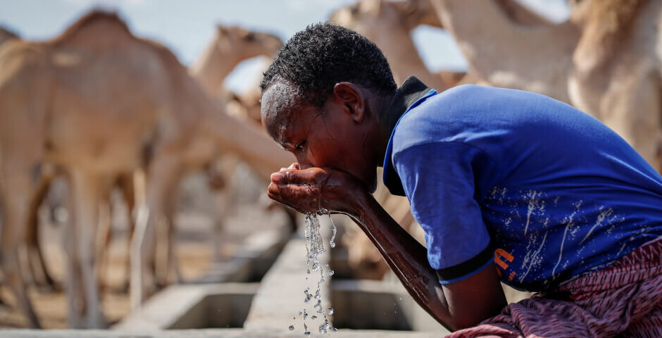 Фото: Brian Inganga/AP/TACC