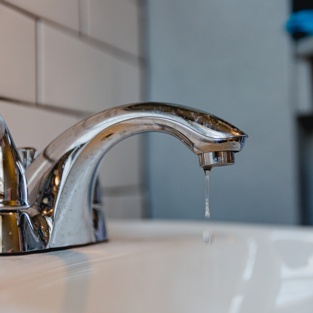 Источник фото: Canva 