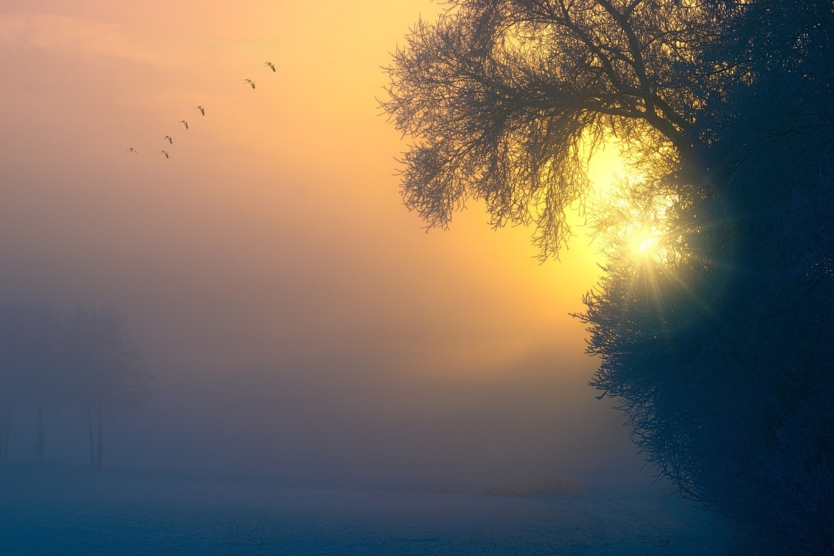 бесплатное фото с сайта pixabay.com