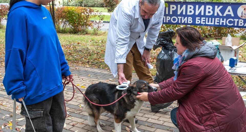    Пресс-служба администрации городского округа Реутов