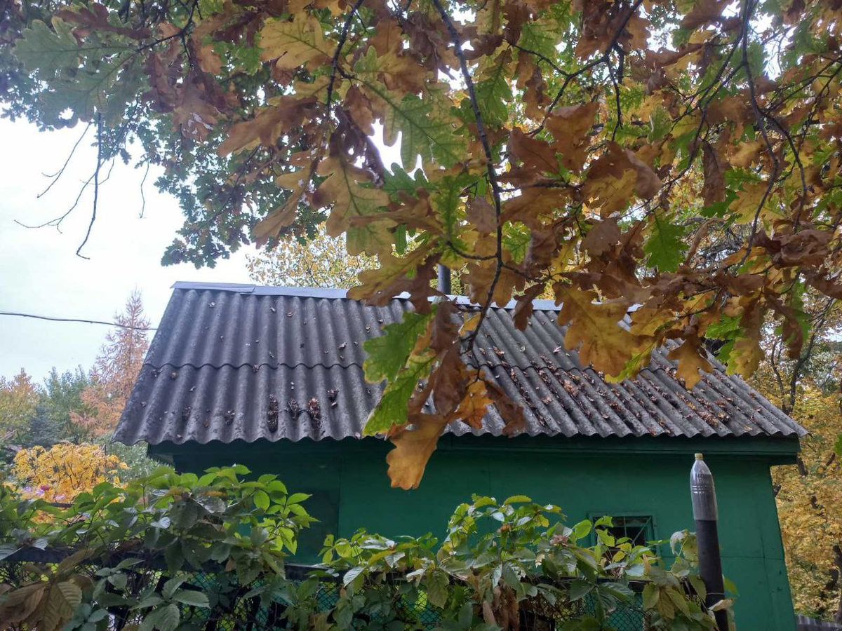 Фото автора.