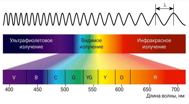 Источник изображения: https://rumex.ru