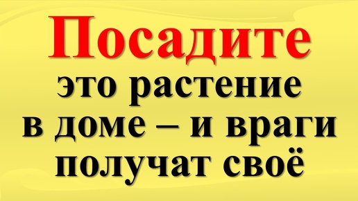 Скачать видео: Как защититься от врагов и вернуть достаток в дом с помощью растений и цветов. Народные приметы и традиции