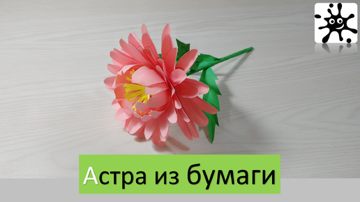 Астра из бумаги. Астра своими руками