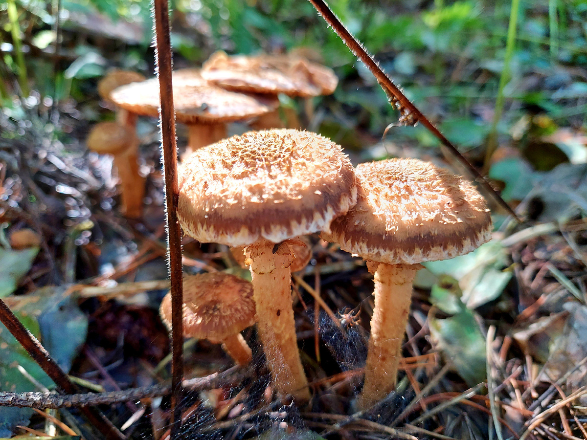 Автор фото Наталья Мазняк