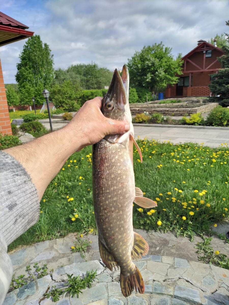 Фото автора Рыбалка SNS Fishing