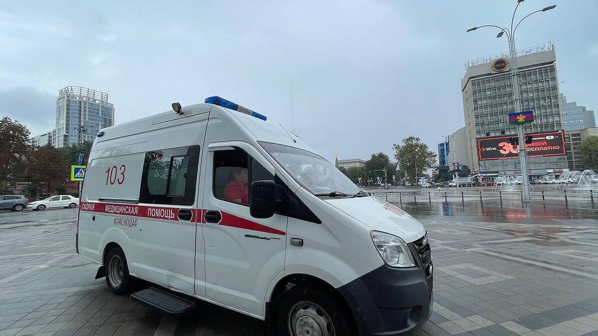    фото: телеканал «Краснодар»