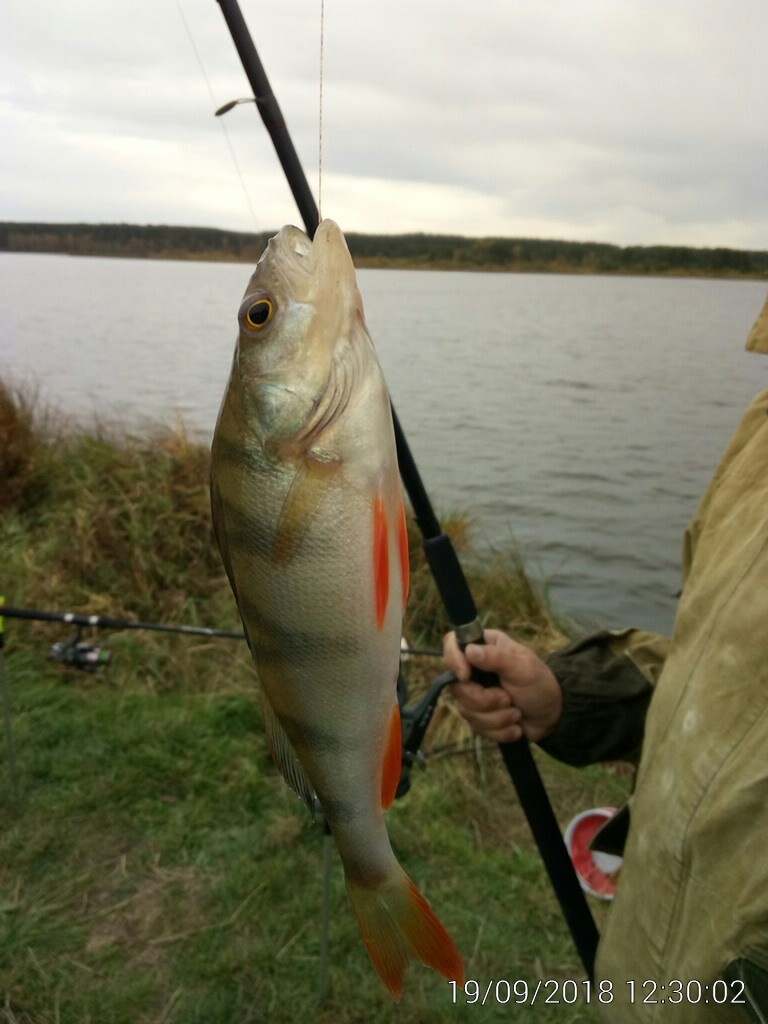 Фото автора Рыбалка SNS Fishing