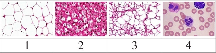 Добавьте описание