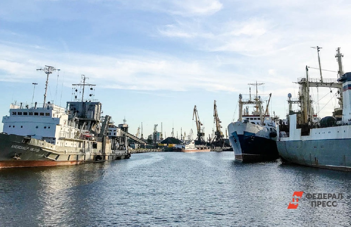 Грузооборот между портами Калининград и Усть-Луга растет.  Фото: ФедералПресс / Дарья Кекош