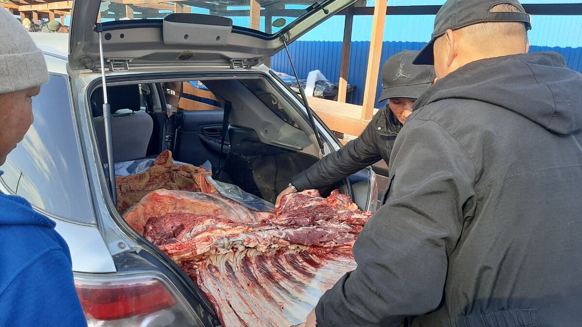 На ярмарку в Кызыл мясо привозили целыми машинами.