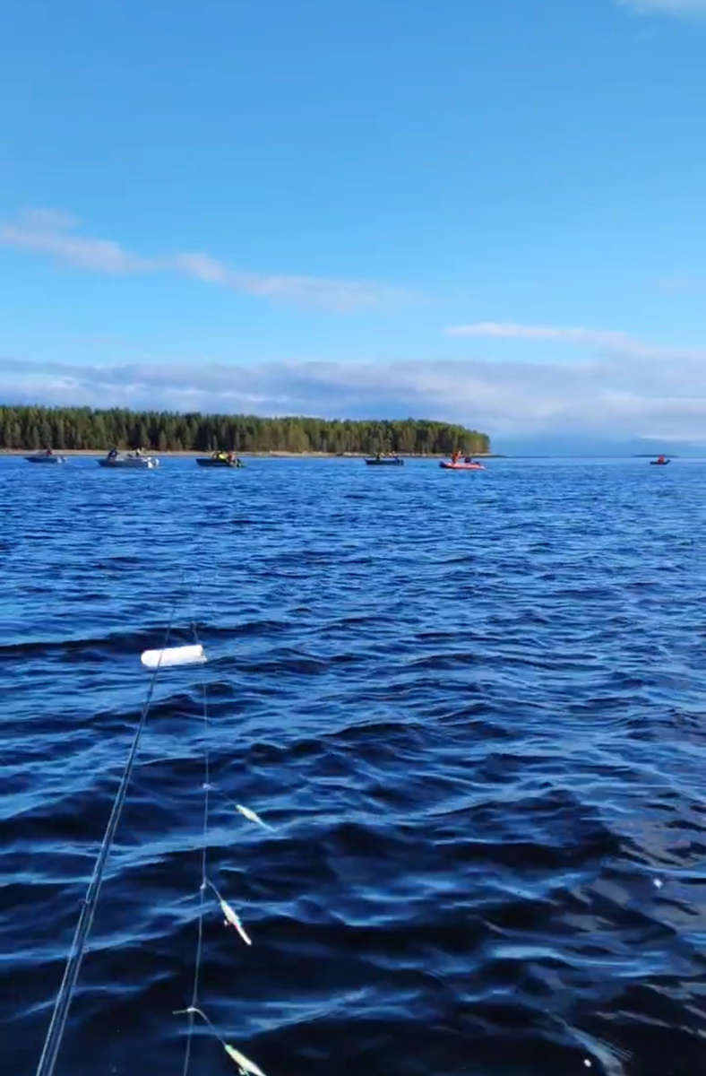 ☀️🎣🎣🎣🔥🔥🔥🤩