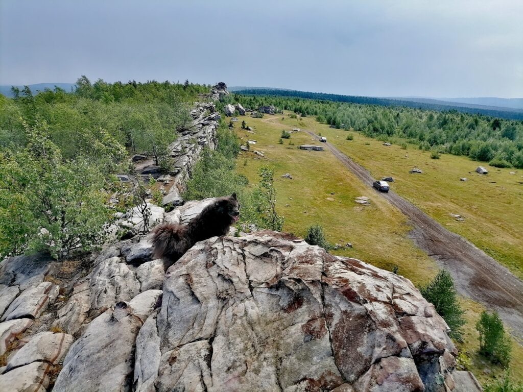    Фото Ульяны Бажановой Ульяна Бажанова