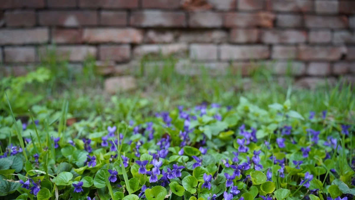 Светлана Мулыкина📷
