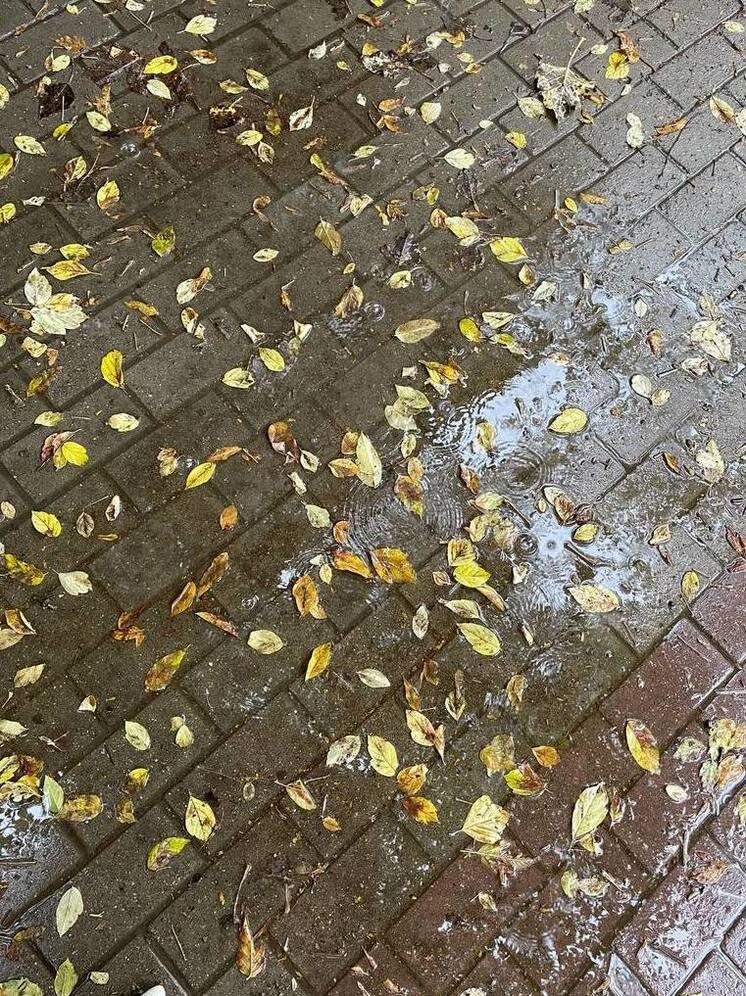     Фото: "МК в Калуге"