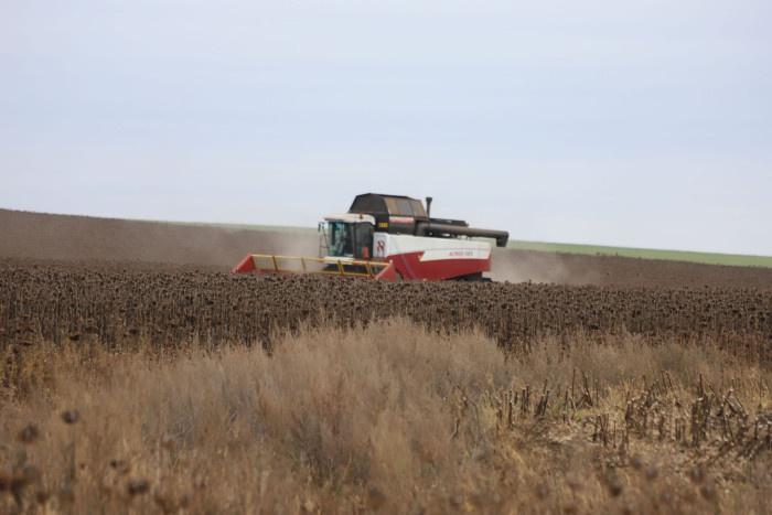    В Оренбургской области продолжается уборка подсолнечника и кукурузы Кристина Просвиркина