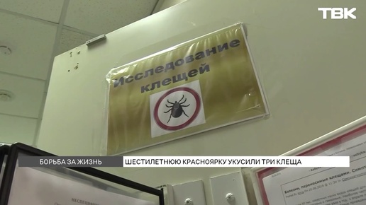 «Не может ходить, не говорит и с трудом выражает эмоции»: 6-летняя красноярка борется за жизнь после укусов клещей