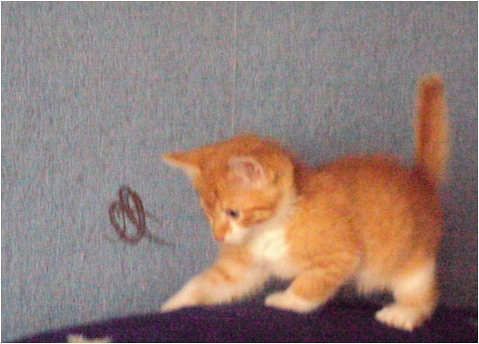 Вот такой он был маленький.