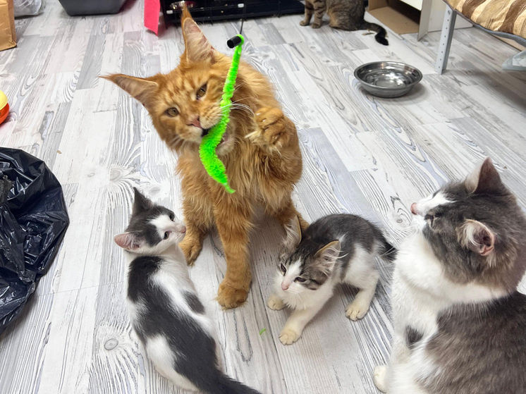 ФОТО: ИЗ ЛИЧНОГО АРХИВА