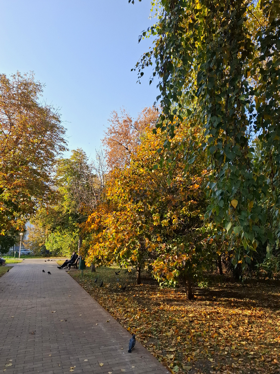 Это сквер на Ленинградской