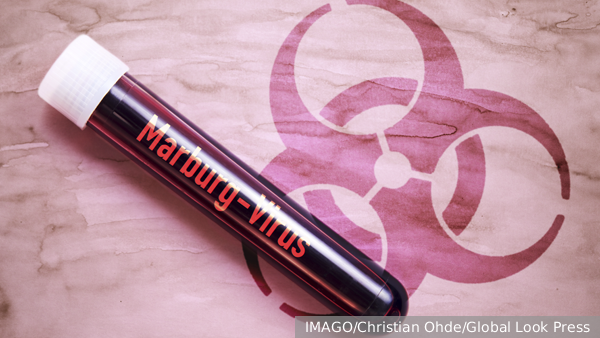     Фото: IMAGO/Christian Ohde/Global Look Press   
 Текст: Алексей Дегтярев