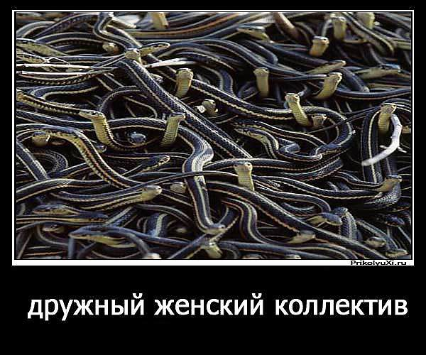 серпентарий епрст