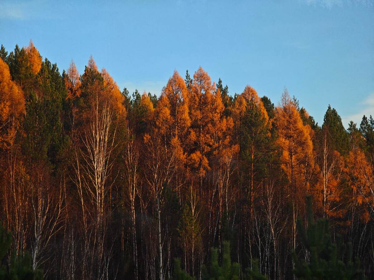 Фото - Касков Сергей.