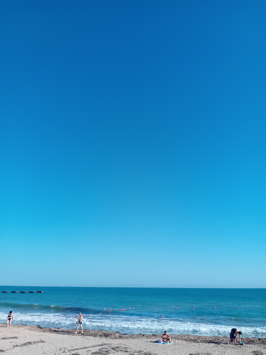 Личные фото.  Начало октября 2024 г.