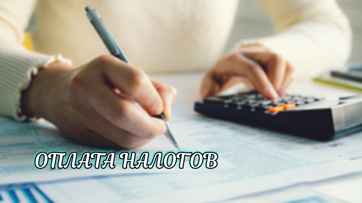 Это нужно знать о налоге на имущество физлиц в 2024 году
