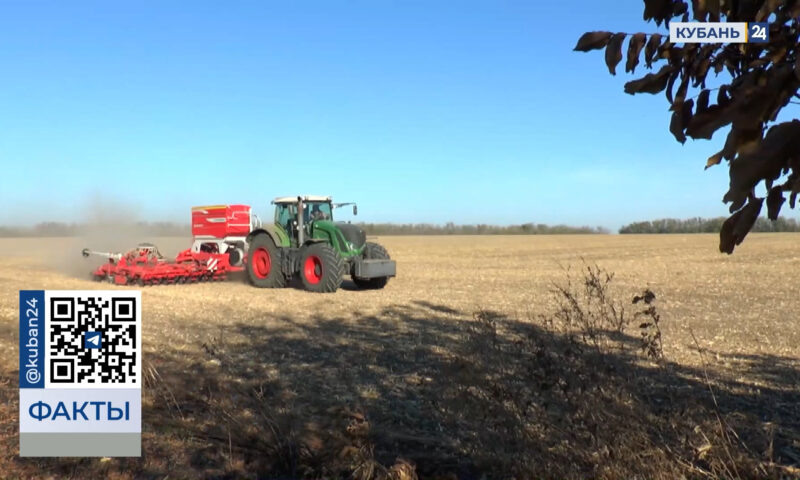    Видео канала «Кубань 24»