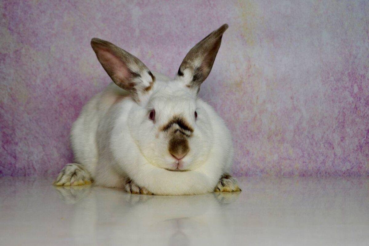 Почита, с какой стороны на нее не смотри, прекрасна