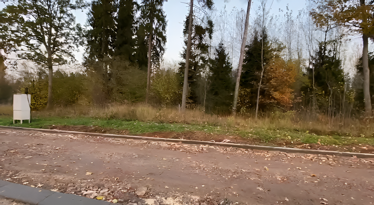 Участок, сочетающий, как "старый" лес, так и 20-летнюю поросль.