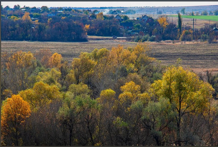 Фото Алексея Коверзнева
