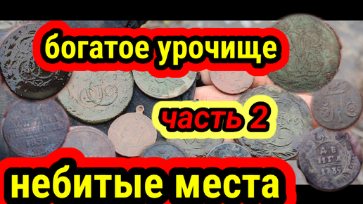 Богатое урочище,небитые места часть 2