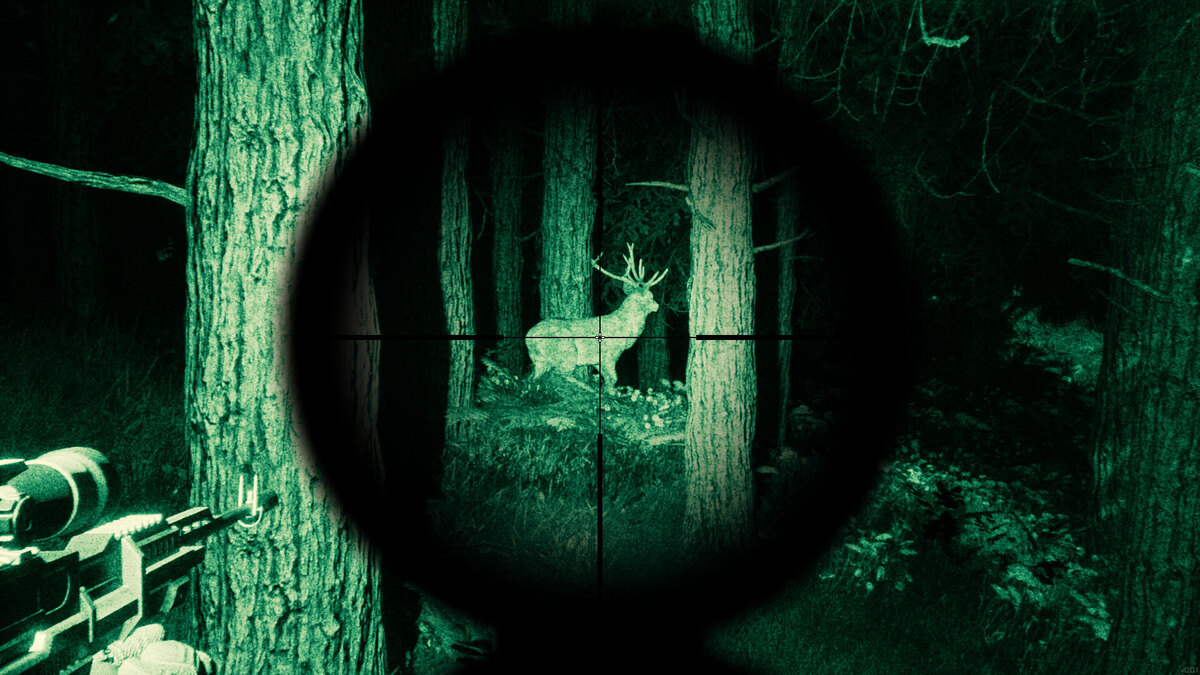    Галерея игры EXOME