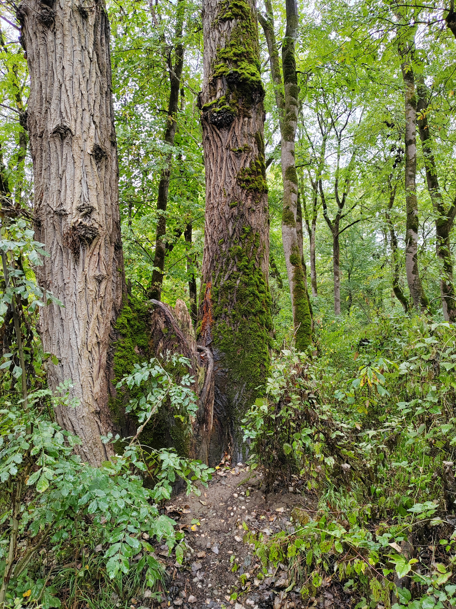 Мостовское поселение, Краснодарский край. 2024 г.