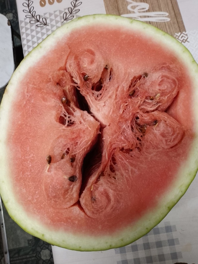 Фото из открытых источников.