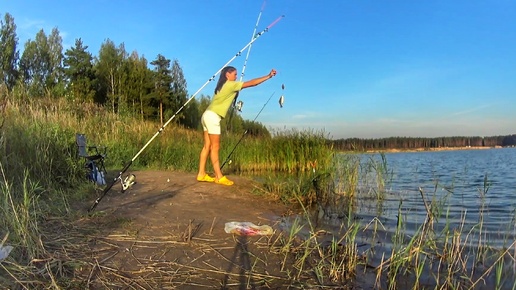 БЕШЕНЫЙ КЛЕВ КАРАСЯ на донки. Ловлю карася на карьере.Russian fishing