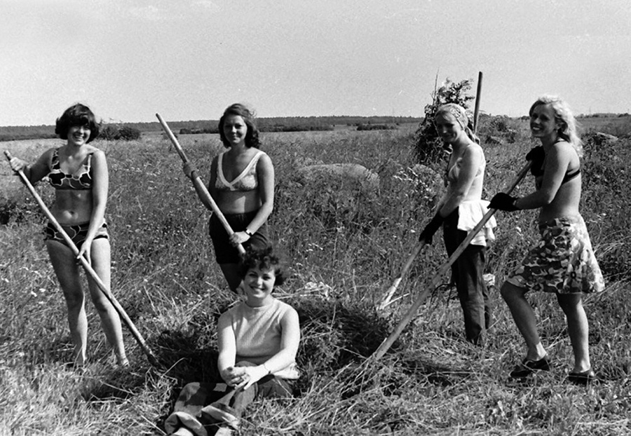 На сенокосе под Ленинградом , 1976 год