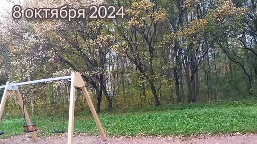 8 октября 2024. Маме 85 лет. Скучаем по Кузе.