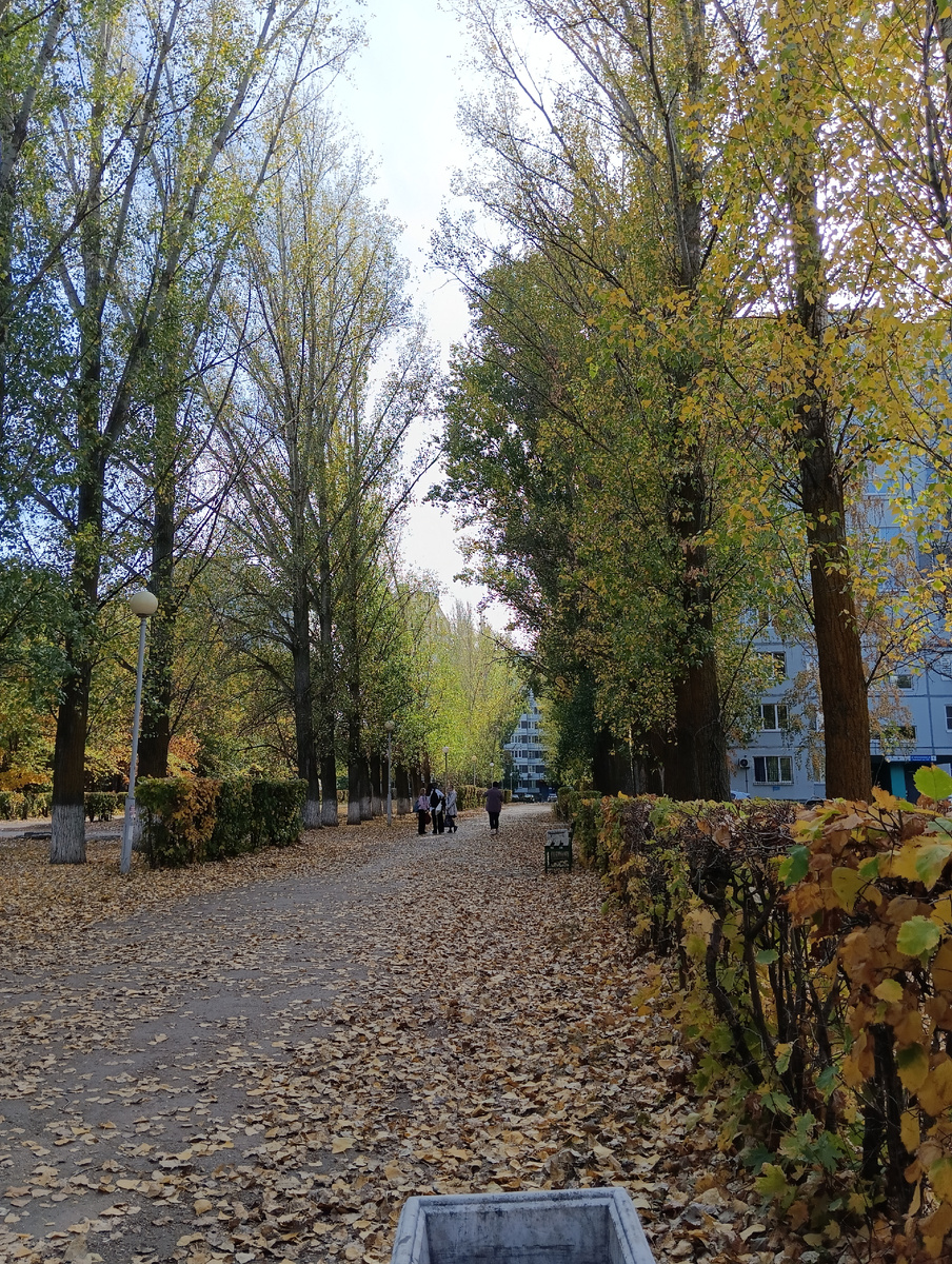 Фото автора.