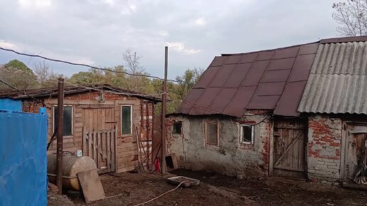 Утро на хозяйстве. Приезжали ветеринары