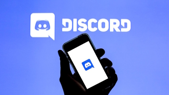    Discord заблокировали в России Алина Городниченко
