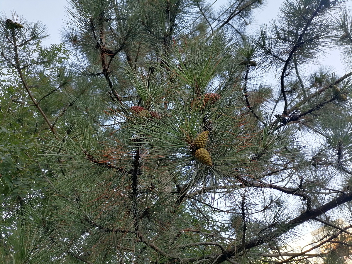 Личное фото автора.