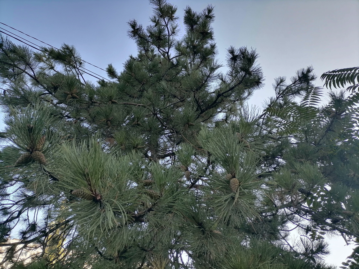 Личное фото автора.