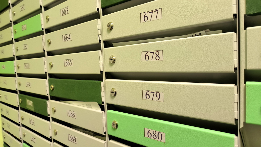    Фото: Maksim Konstantinov/Global Look Press