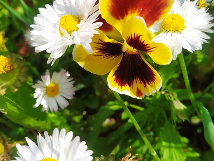 Как поддерживать свою мотивацию на пути к цели.