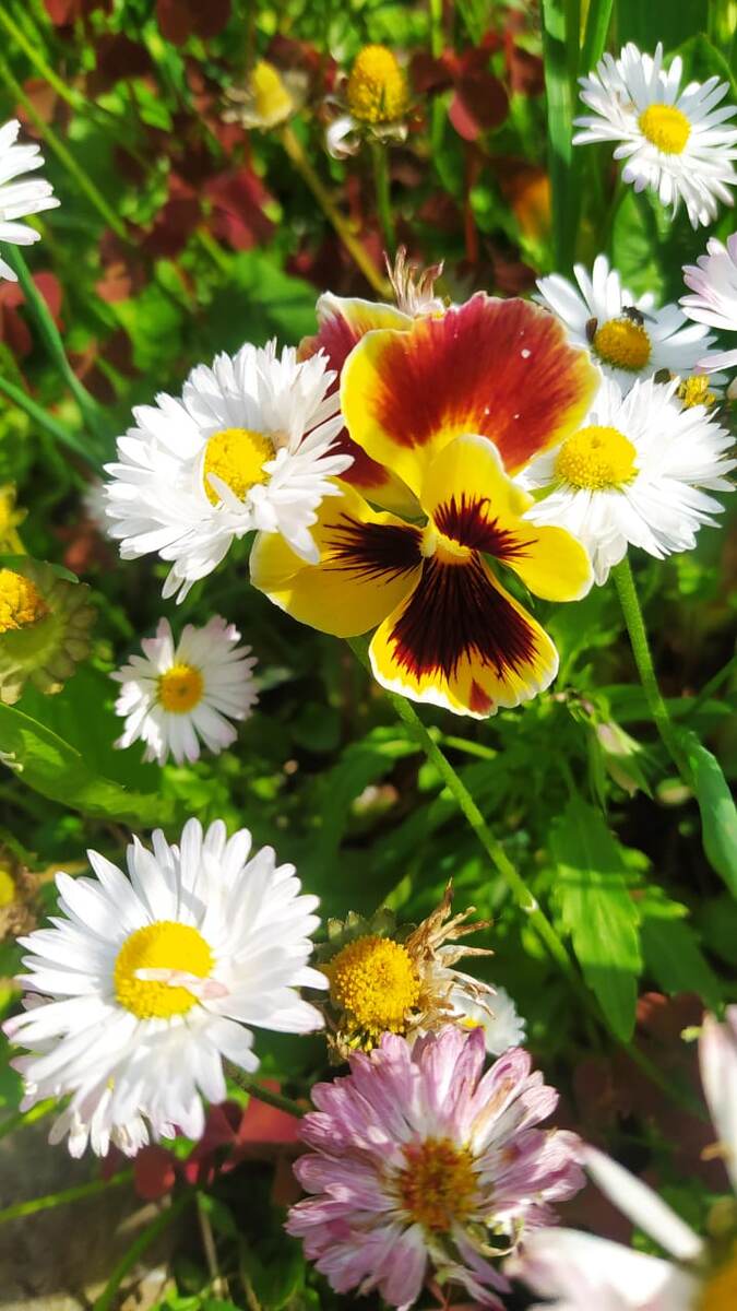 Вот меня ничто так не мотивирует на активность, как яркое солнце и +25